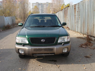 DSC00516.JPG