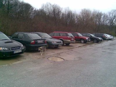Изображение209.jpg