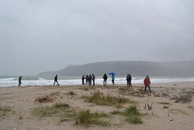 DSC_5174F.jpg