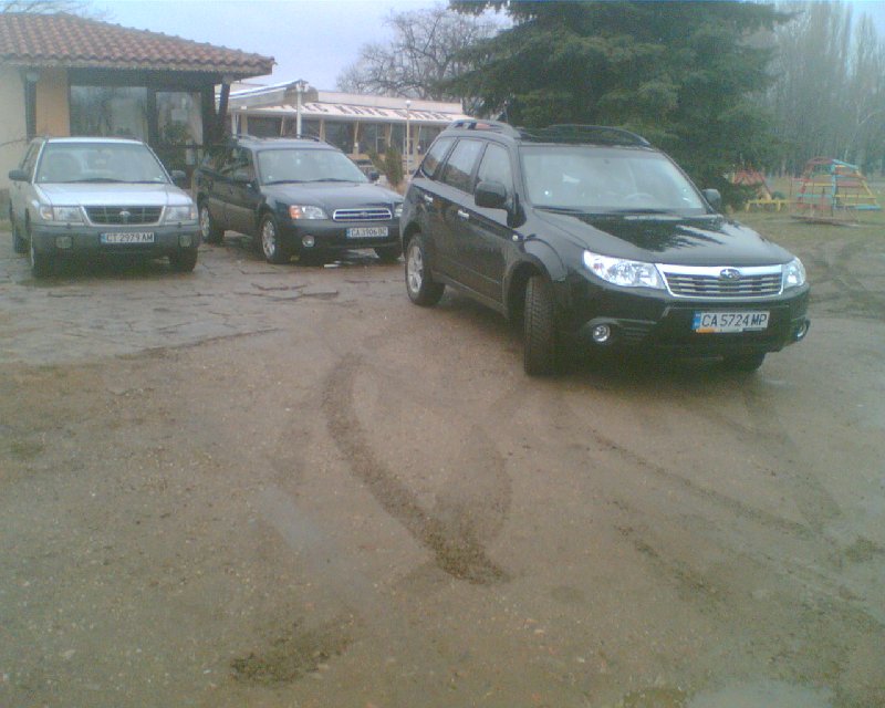 IMG076.800x640.jpg