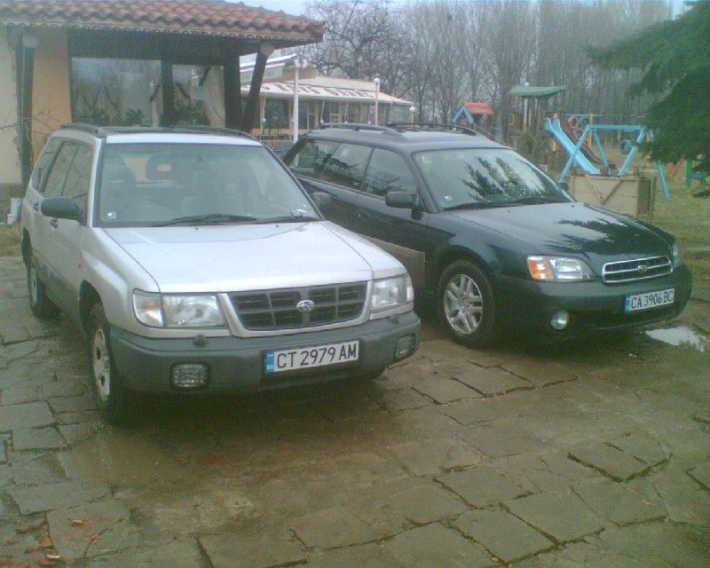 IMG074.800x640.jpg