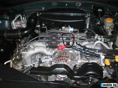 11350579063748071_3[1].jpg