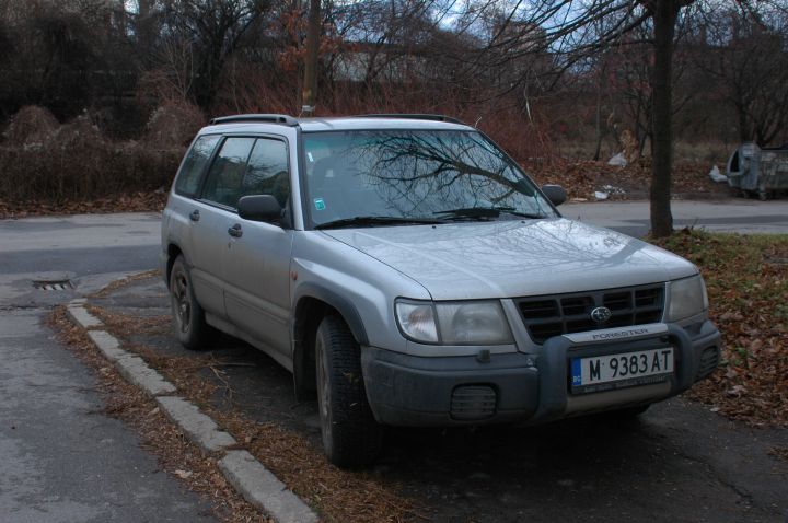 DSC_3413.JPG