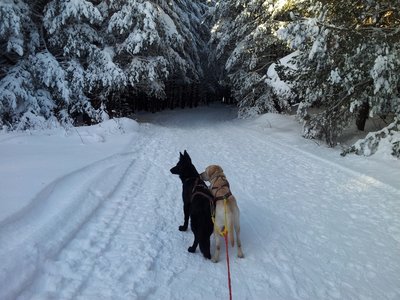 CameraZOOM-20121223090158252.jpg