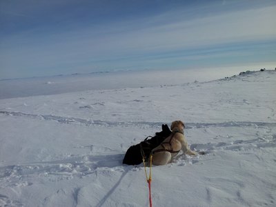 CameraZOOM-20121223103404496.jpg