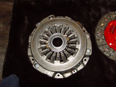 SS100245.JPG