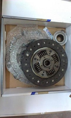 IMAG0006-1.JPG