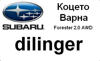 subaru_badg_dilinger_with_car&city.JPG