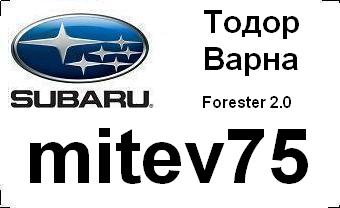 subaru_badg_mitev75_with_car&city.JPG