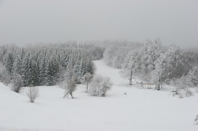 DSC_0244.jpg