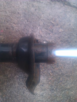 IMAG0244.jpg