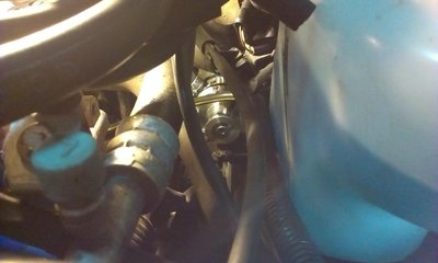 IMAG0055-1.JPG