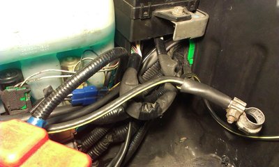 IMAG0054-1.JPG