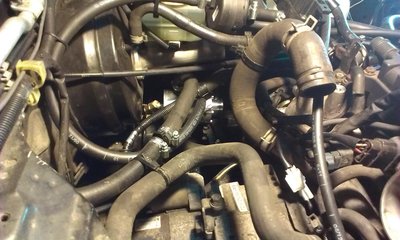 IMAG0053-1.JPG