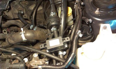IMAG0052-1.JPG