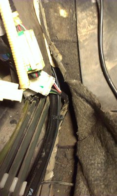 IMAG0050-1.JPG