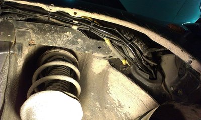 IMAG0048-1.JPG