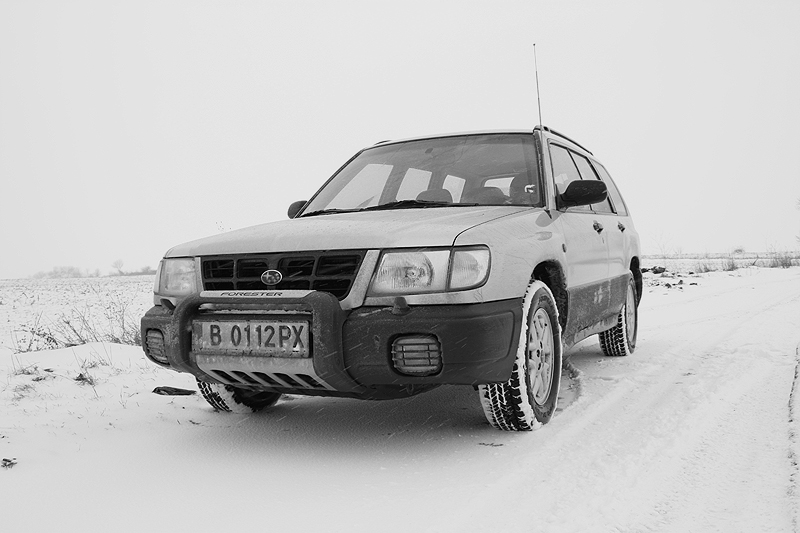 SF_winter_1.jpg