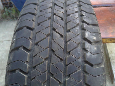 20130305779.JPG