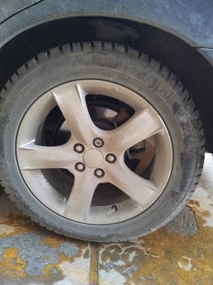 Picture5.jpg