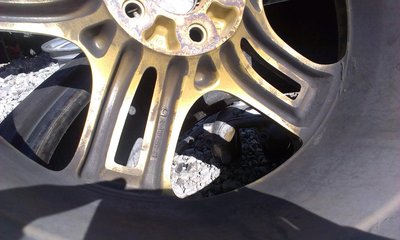 IMAG0165-1.JPG