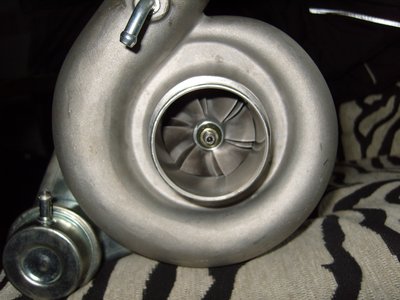 SS100763.JPG