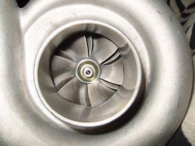 SS100764.JPG