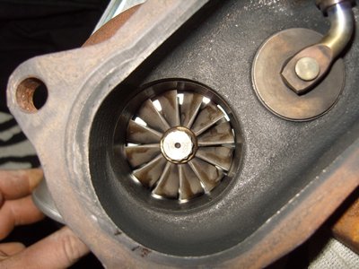 SS100766.JPG