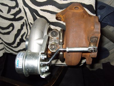 SS100768.JPG