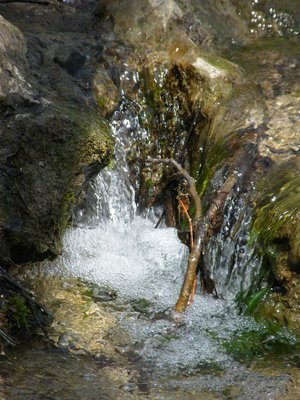 DSCF6798.JPG