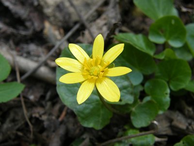 DSCF6804.JPG