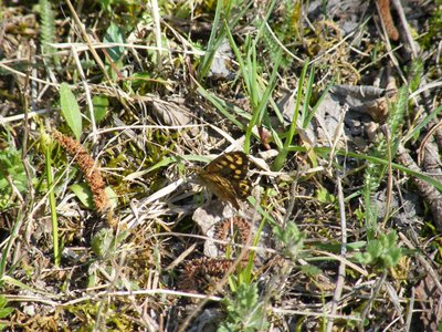 DSCF6833.JPG