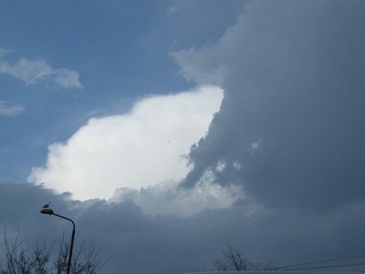 DSCF6850.JPG