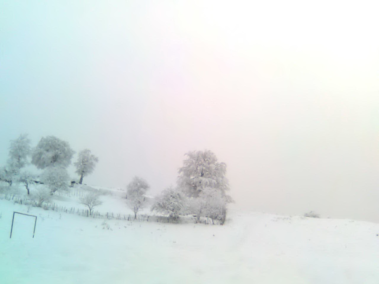 Image131.jpg