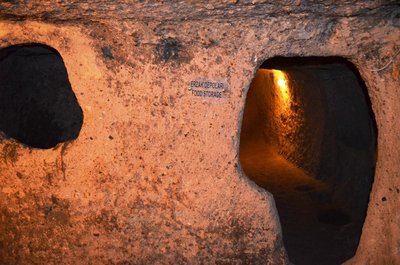DSC_1843(1).jpg