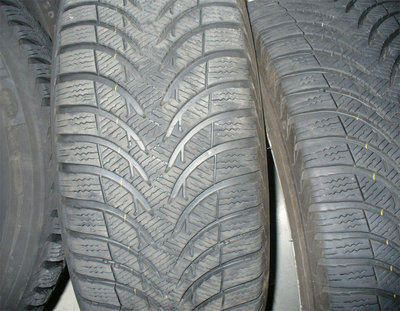 P1100208copy.jpg