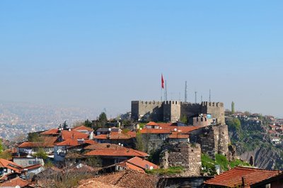 DSC_0039(1).jpg