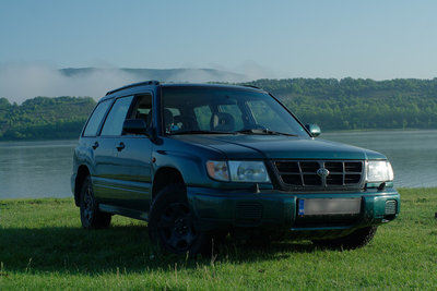 _MG_4230.jpg