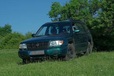 _MG_4284.jpg