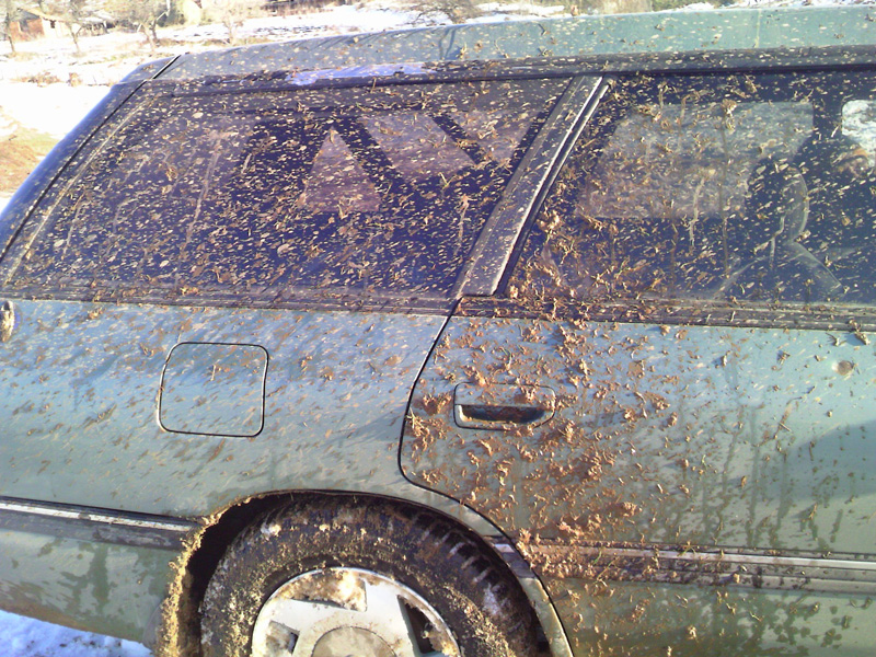 P750_SUBN3T_PIC842.jpg