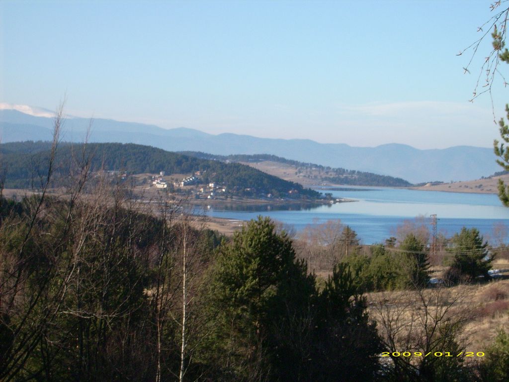 tn_DSCI0002.JPG