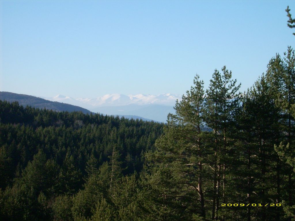 tn_DSCI0001.JPG
