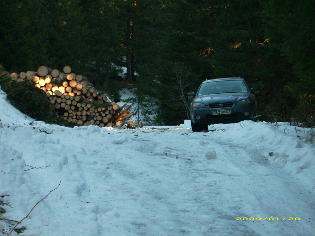 tn_DSCI0045.JPG