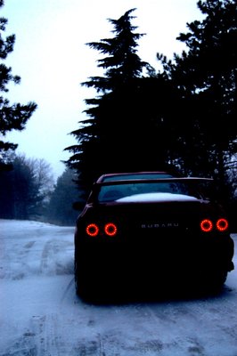 DSC_1902.jpg