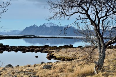 DSC_8670___01.JPG
