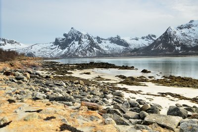 DSC_8664___01.JPG