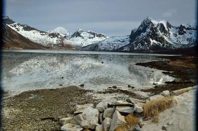 DSC_8659___01.JPG