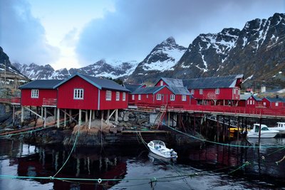 DSC_8330___01.JPG