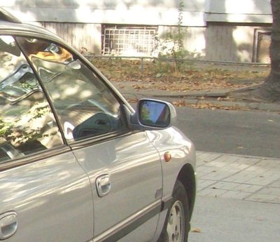 100_3862.JPG