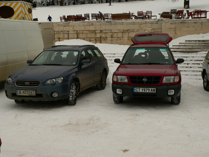P1050277.jpg